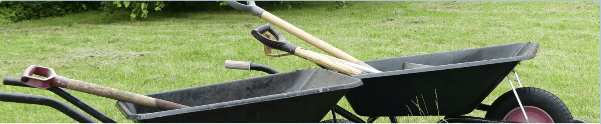 Two wheelbarrows with spades inside them on top of green grass